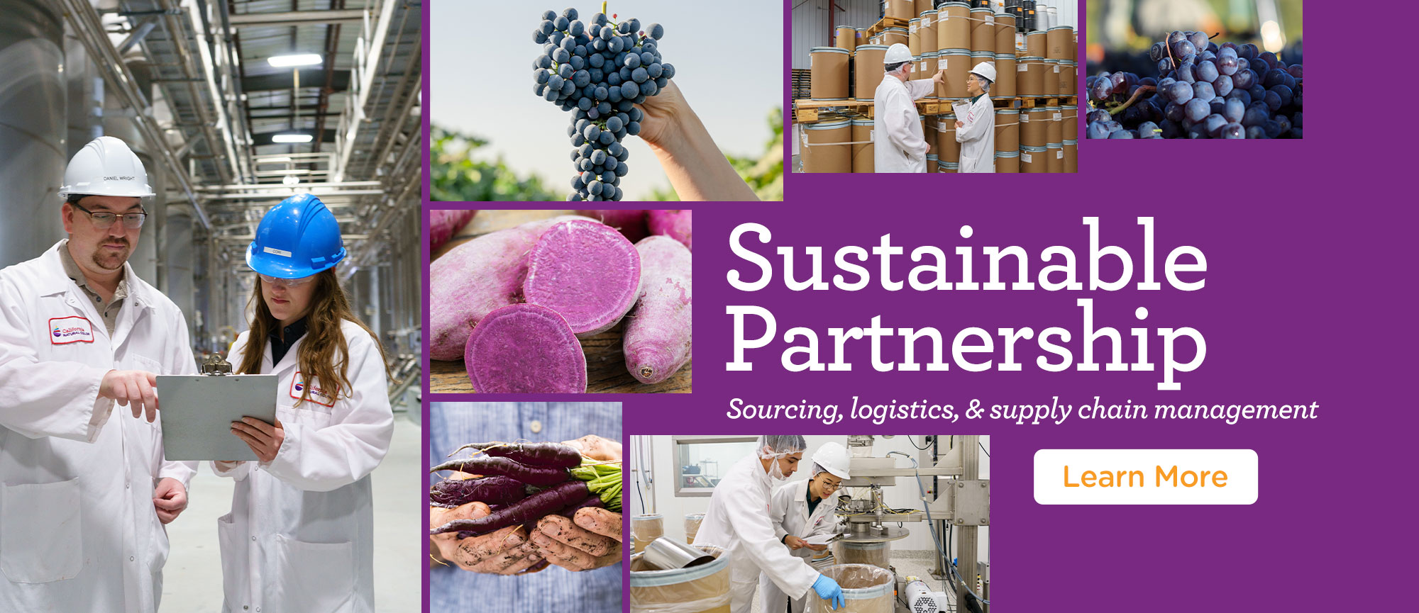 Sustainable Partnership